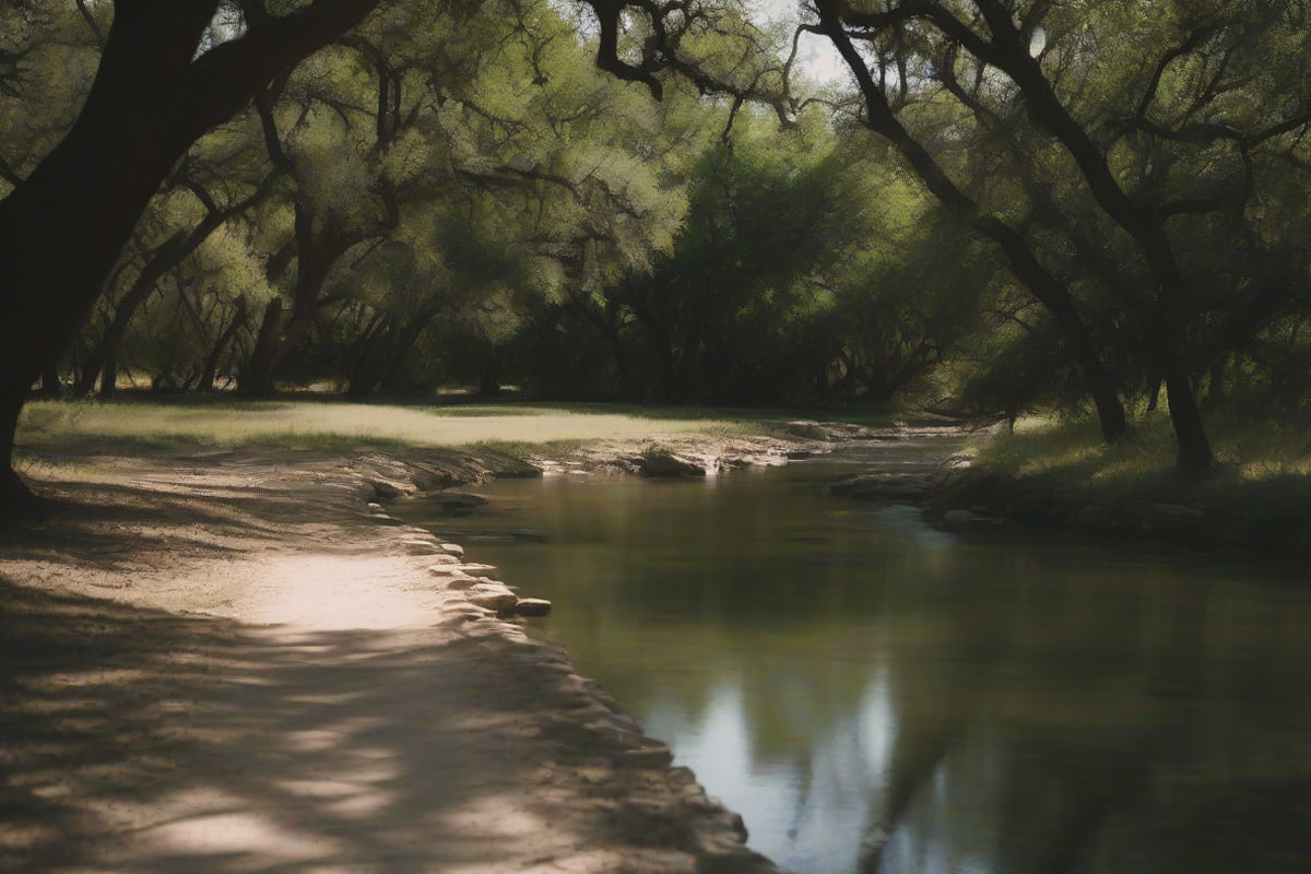 A shaded creek with a gravel bank and a path beneath live oaks