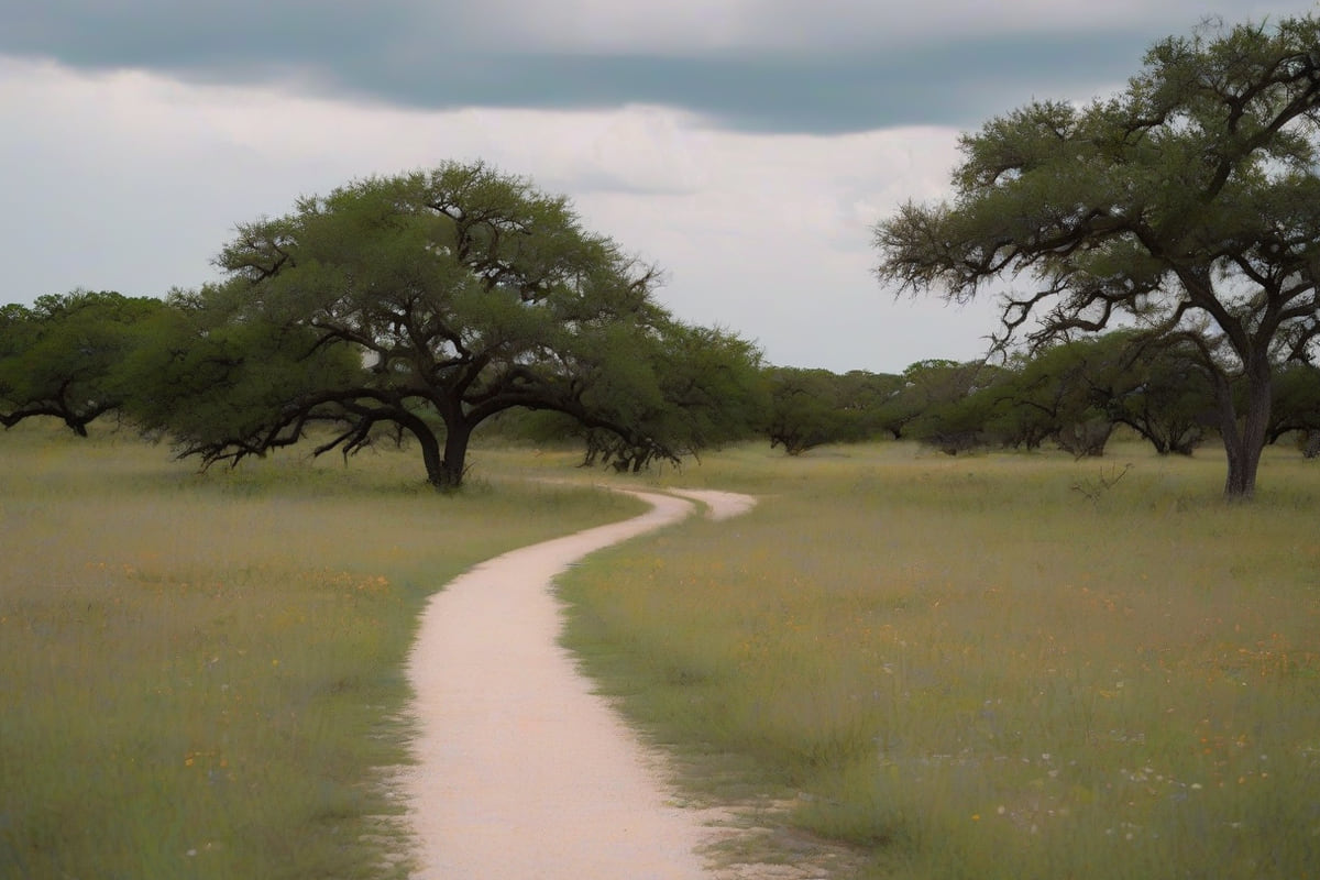 A narrow path winding through open grassland past scattered live oaks under a cloudy sky