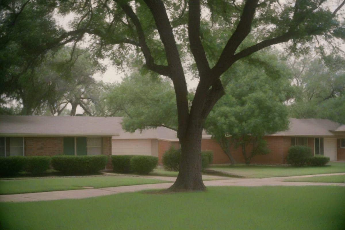 Brick ranch and split-level homes with mature shade trees on a flat street in Mesquite, Texas