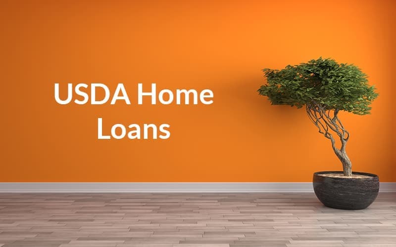 USDA Loan Eligibility: Which Austin-Area Suburbs Qualify | Wise Capital Mortgage